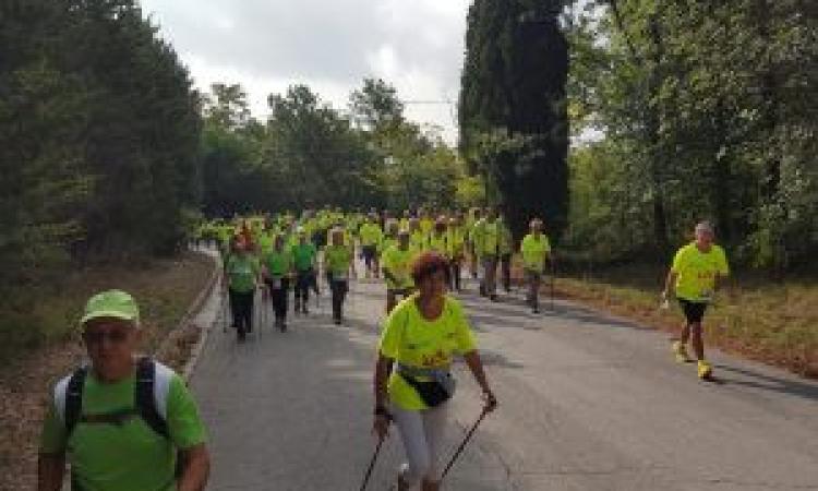 Treia, partito il progetto "I Fuori Classe"