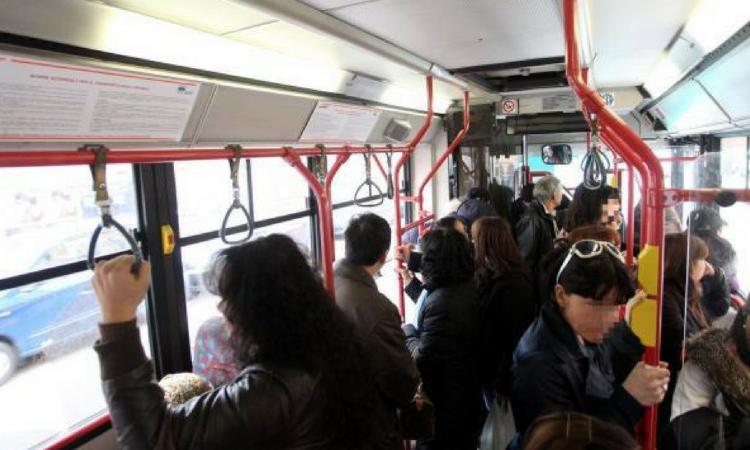 Rivendevano biglietti di Conero bus per avere entrate extra: indagati una decina di dipendenti Rivendevano biglietti di Conero bus per avere entrate extra: indagati una decina di dipendenti