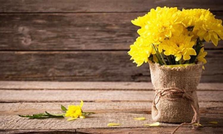 Commemorazione dei defunti: a Civitanova cambia la viabilità nella zona del cimitero