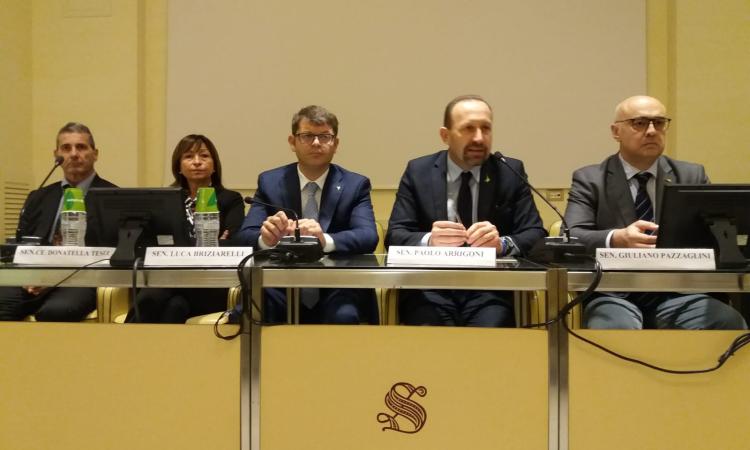 Sisma, proiettato al Senato "La botta grossa". Arrigoni: "Occorre prepararsi al nuovo"