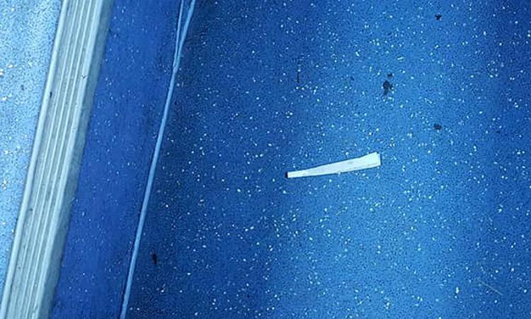 Droga sull'autobus, l'autista diventa detective: "Cari genitori, educate i vostri figli!"