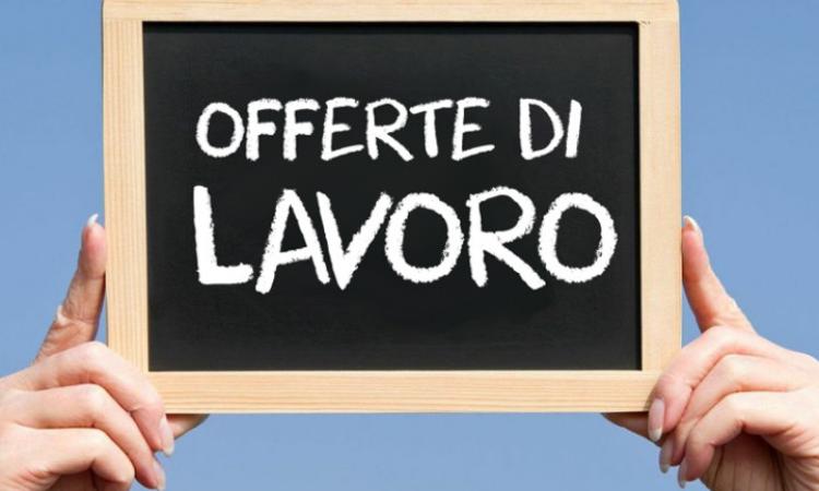 Annunci di Lavoro - Cercasi Personale