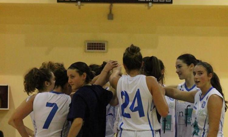 Basket, altra settimana di vittorie per la Feba Basket, altra settimana di vittorie per la Feba