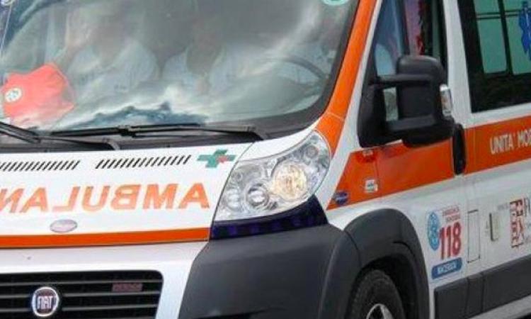 Porto Recanati, muore mentre porta a passeggio i cani Porto Recanati, muore mentre porta a passeggio i cani