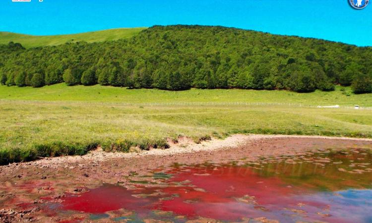 "Il Lago di Pilato non diventa Rosso" parola del biologo Simone Gatto