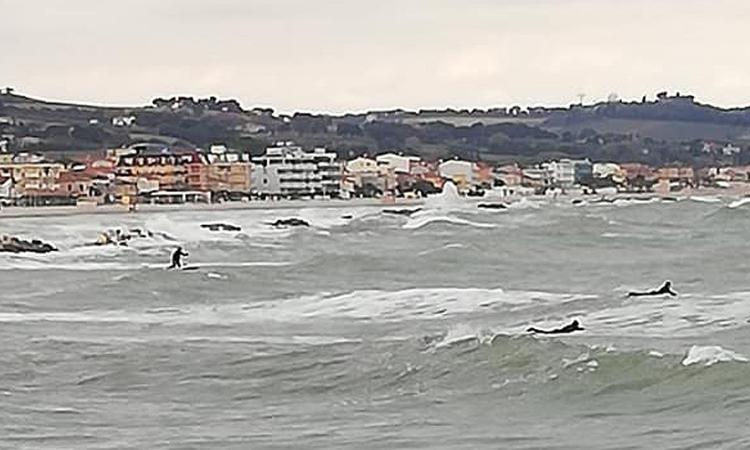 Surfisti sfidano le onde a Civitanova Surfisti sfidano le onde a Civitanova