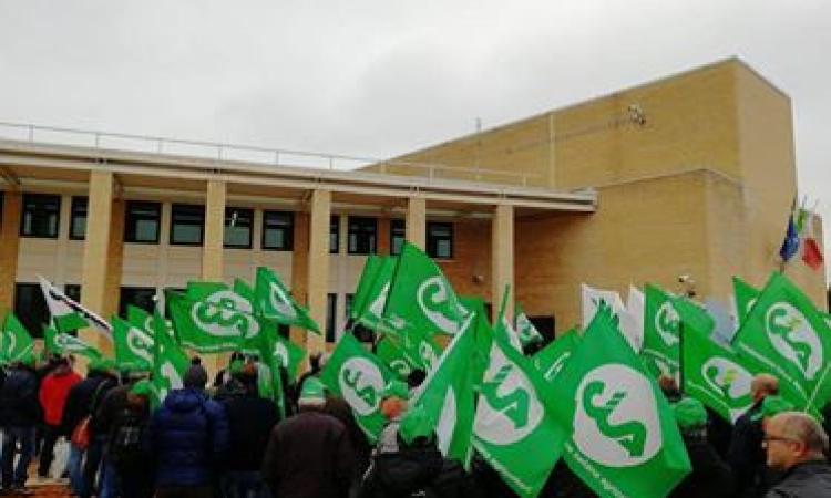 Cia Copagri, successo per la manifestazione di questa mattina Cia Copagri, successo per la manifestazione di questa mattina