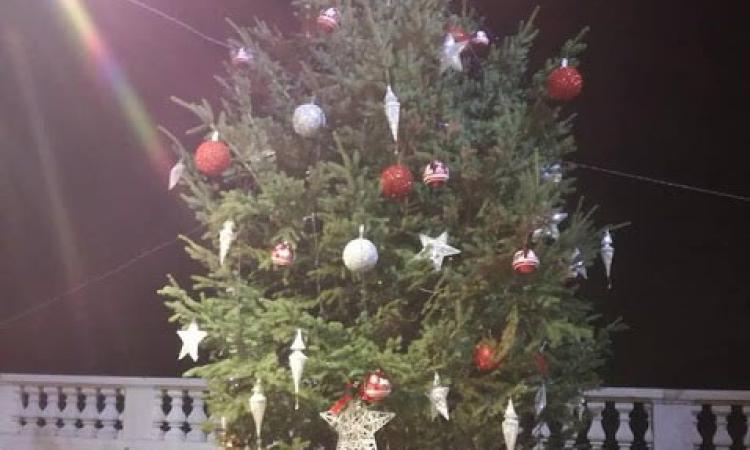 Treia, arriva l'albero di Natale in piazza (FOTO)