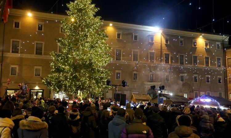Macerata, acceso l'albero di Natale
