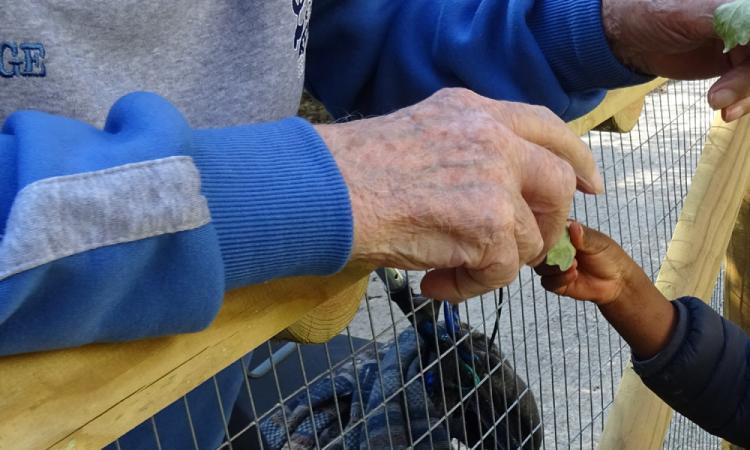 Nonni e bambini insieme: il nido d'Infanzia di Macerata al convegno internazionale di Bressanone