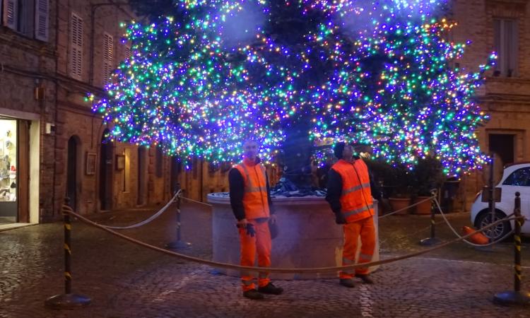 Montefano, dopo tre settimane di lavoro il grande albero di Natale sta per accendere le luci