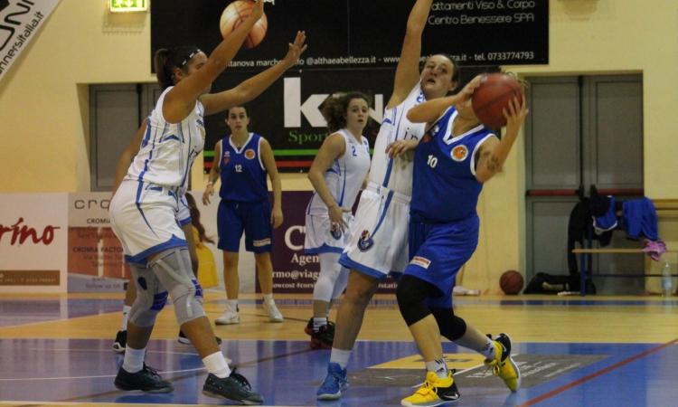 Il punto sulle squadre della Feba Civitanova Il punto sulle squadre della Feba Civitanova