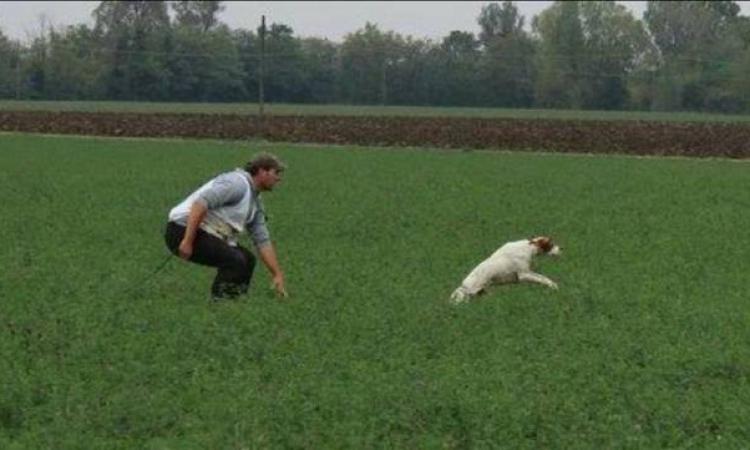 Pievebovigliana, il dresseur Mirko Caramanti in Francia ai campionati europei di caccia per cani razza pointer