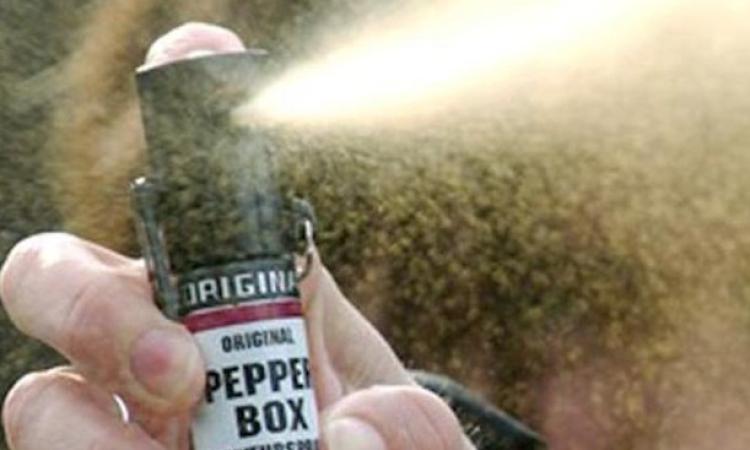 Corinaldo : Esce la pista della "banda dello Spray" Corinaldo : Esce la pista della "banda dello Spray"