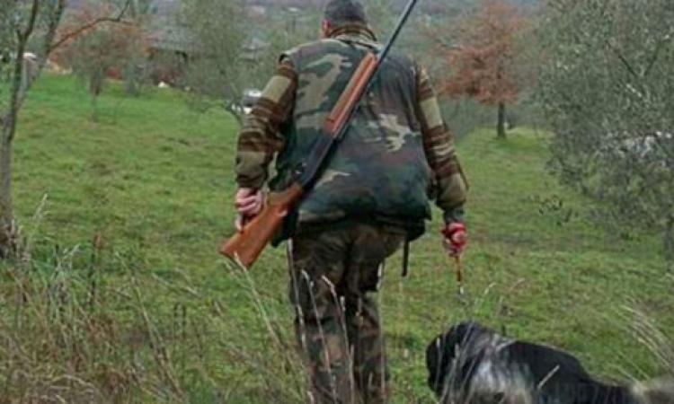 Marche, Il Tar accoglie e sospende la caccia Marche, Il Tar accoglie e sospende la caccia