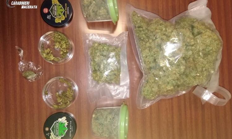 San Severino Marche, 200 grammi di marijuana in casa: denunciata giovane coppia