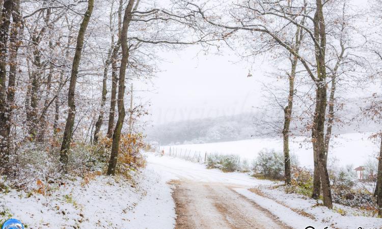Arriva la prima neve sui colli di Cingoli (FOTO)