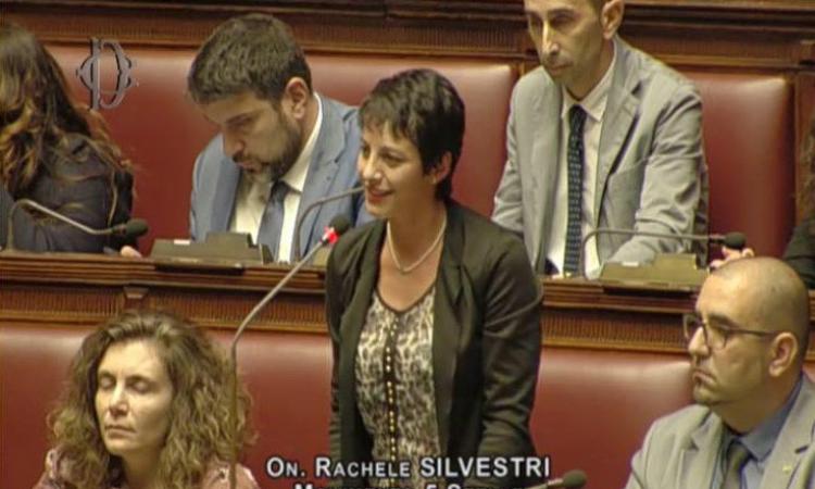 Rachele Silvestri: "Ascoli si riappropri dei reperti della necropoli Longobarda di Castel Trosino" Rachele Silvestri: "Ascoli si riappropri dei reperti della necropoli Longobarda di Castel Trosino"