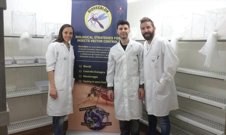 Insetticida rivoluzionario, al rush finale la campagna per i giovani ricercatori di Biovecblok Insetticida rivoluzionario, al rush finale la campagna per i giovani ricercatori di Biovecblok