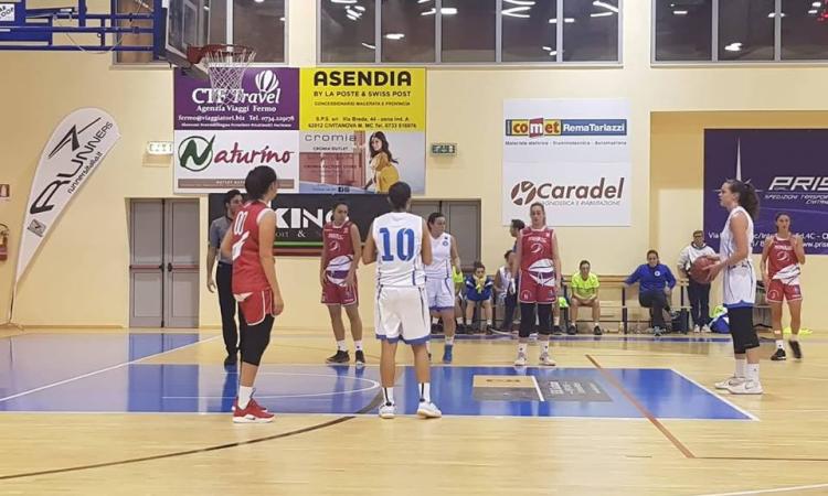 Nuova sfida per la Feba Civitanova Marche: mercoledì la partita contro Magnolia Campobasso Nuova sfida per la Feba Civitanova Marche: mercoledì la partita contro Magnolia Campobasso