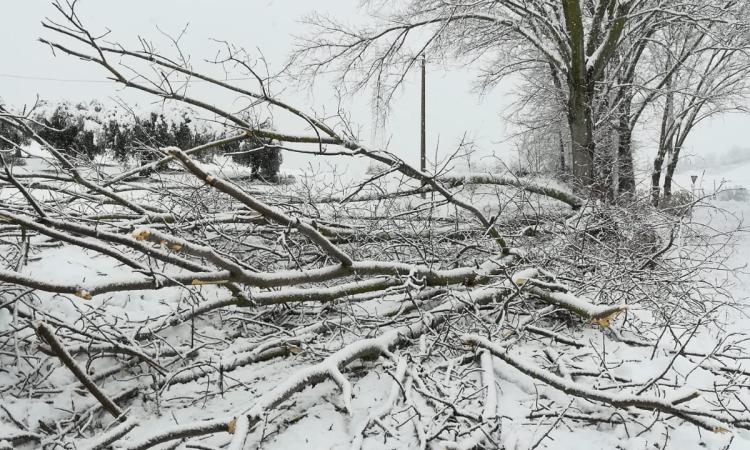 Emergenza maltempo, super lavoro per operai e tecnici Assem: oltre 50 interventi