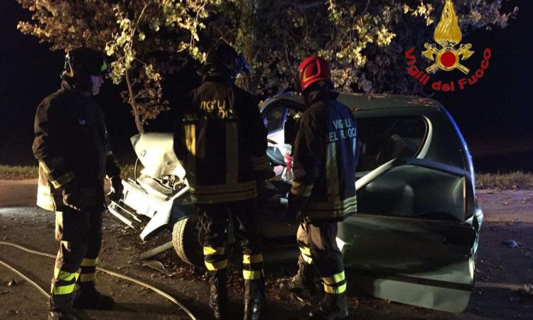 Montecassiano, urta un albero con l’auto: incidente nella notte Montecassiano, urta un albero con l’auto: incidente nella notte