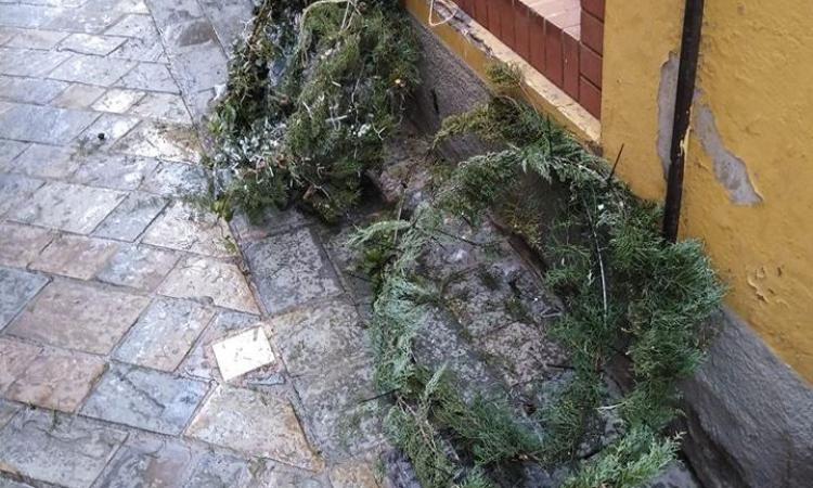 Vandalismo nella notte a Tolentino: distrutte le luminarie dei negozi in pieno centro