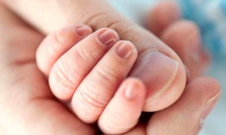 Treia registra un boom di nascite nel 2024: +25% rispetto all'anno precedente Treia registra un boom di nascite nel 2024: +25% rispetto all'anno precedente