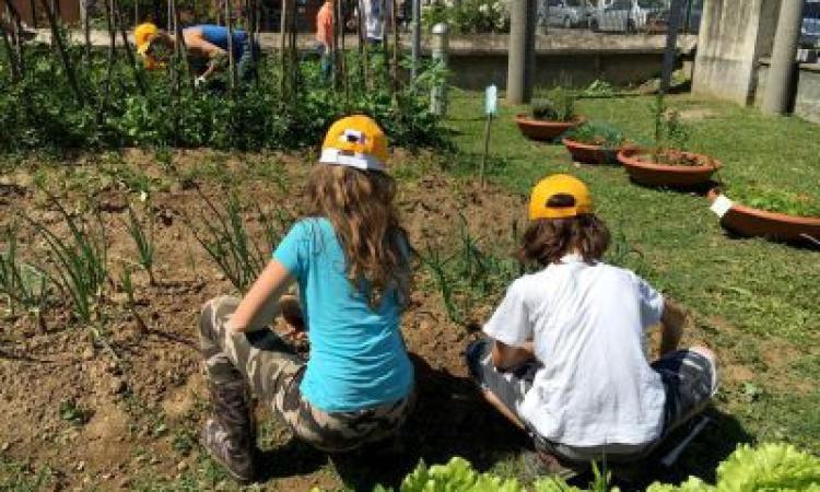 La “punizione” esemplare di un preside di Milano. Alunni indisciplinati? Vanno a zappare la terra