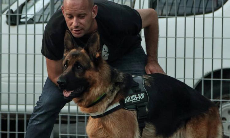 A Treia i cani da ricerca con l'istruttore internazionale Ivan Schmidt (FOTO) A Treia i cani da ricerca con l'istruttore internazionale Ivan Schmidt (FOTO)
