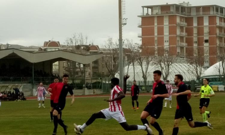 Civitanovese-HR Maceratese 0-0: la sintesi (VIDEO) Civitanovese-HR Maceratese 0-0: la sintesi (VIDEO)
