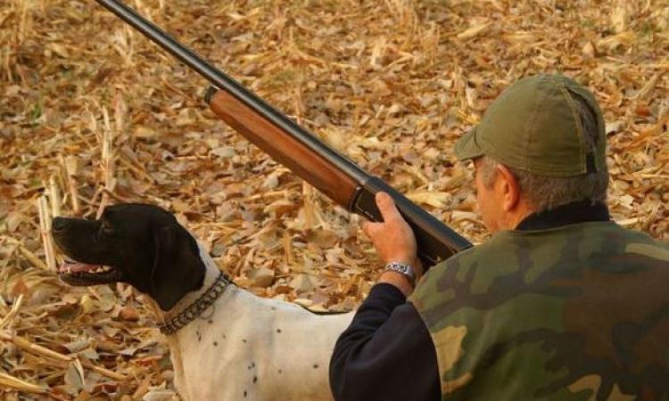 Incidente durante battuta di caccia al cinghiale: cacciatore colpito alla gamba, arriva il 118 Incidente durante battuta di caccia al cinghiale: cacciatore colpito alla gamba, arriva il 118