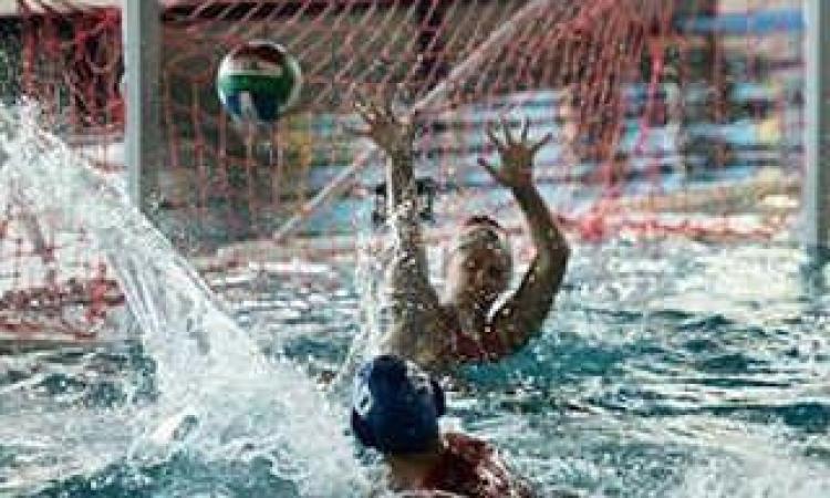 Pallanuoto femminile A2 Tolentino. Gloria Pierucci presenta il derby contro la Vela Ancona Pallanuoto femminile A2 Tolentino. Gloria Pierucci presenta il derby contro la Vela Ancona