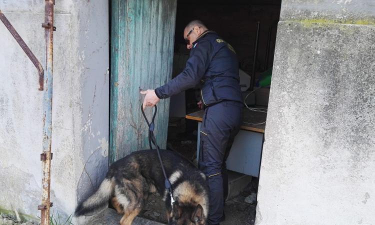 Recanati. La Guardia di Finanza arresta tre persone e sequestra oltre 400 gr di eroina