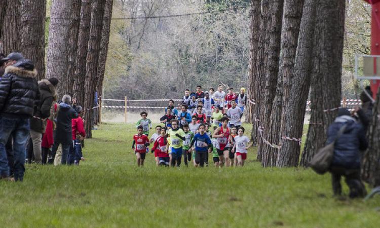 Tutto pronto per la 24° Cross Helvia Recina : appuntamento domenica 24 Tutto pronto per la 24° Cross Helvia Recina : appuntamento domenica 24