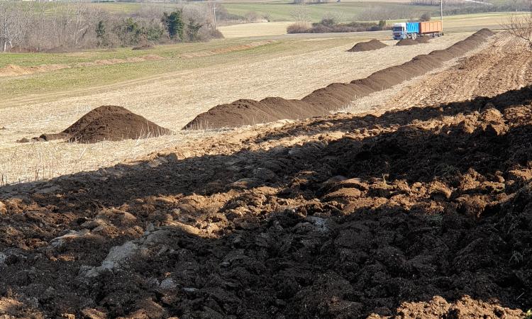 Chiesanuova di Treia, continua il via vai di camion carichi di concime: "Popolazione impotente" Chiesanuova di Treia, continua il via vai di camion carichi di concime: "Popolazione impotente"