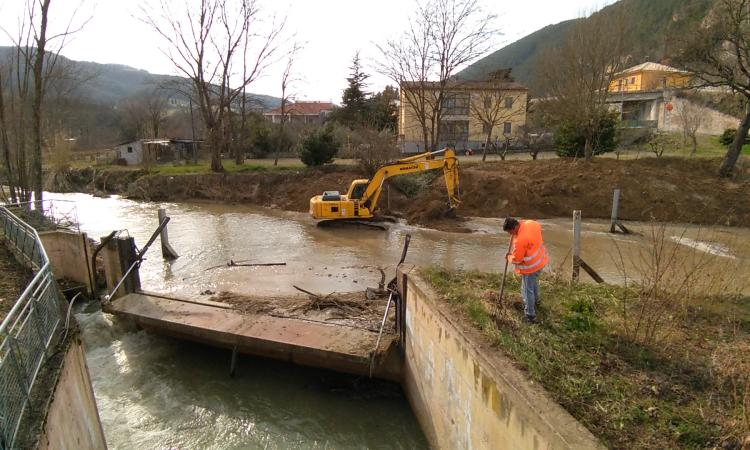 San Severino, manutenzione straordinaria del fiume Potenza: sponde liberate da alberi pericolosi ed erbacce