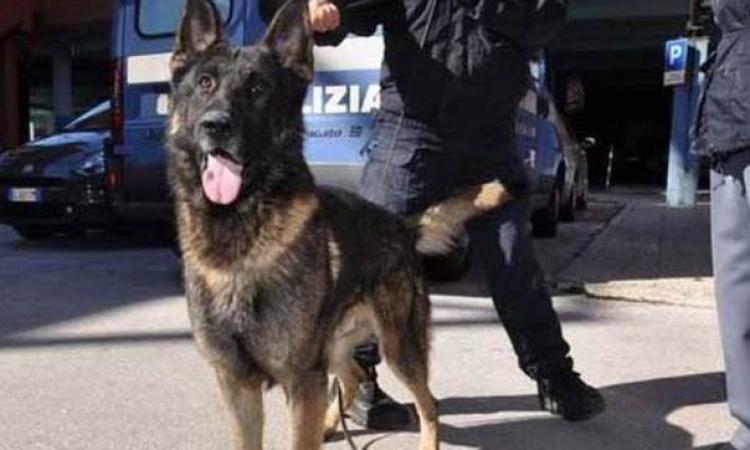 Macerata, spacciatore fugge e abbandona la droga: controlli al parco Fontescodella