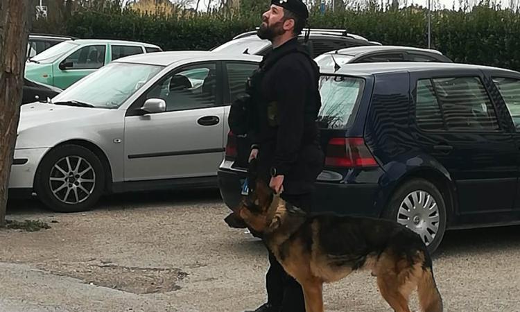 Porto Recanati, blitz dei Carabinieri al River Village: operazione in corso (VIDEO E FOTO)