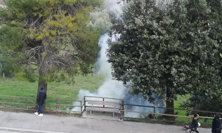 Macerata, incendio di sterpaglie in via Cioci: pronto intervento dei Vigili del Fuoco Macerata, incendio di sterpaglie in via Cioci: pronto intervento dei Vigili del Fuoco