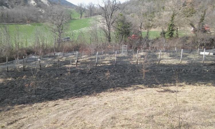 Pieve Torina, agricoltore innesca incendio dopo la ripulitura del frutteto: in fiamme un ettaro di bosco Pieve Torina, agricoltore innesca incendio dopo la ripulitura del frutteto: in fiamme un ettaro di bosco