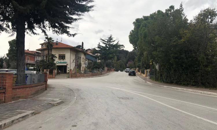 Strage di gatti avvelenati a Passo di Treia: la denuncia social dei cittadini Strage di gatti avvelenati a Passo di Treia: la denuncia social dei cittadini