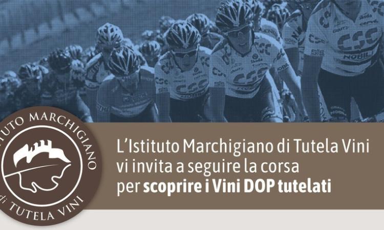 Ciclismo, la Tirreno Adriatico 2019 omaggia la DOC marchigiana: wine stage dedicata al Verdicchio