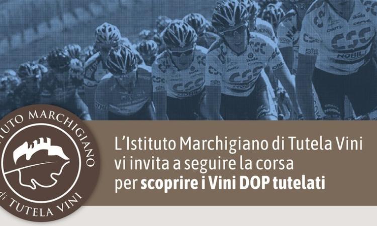Ciclismo, la Tirreno Adriatico 2019 omaggia la DOC marchigiana: wine stage dedicata al Verdicchio Ciclismo, la Tirreno Adriatico 2019 omaggia la DOC marchigiana: wine stage dedicata al Verdicchio