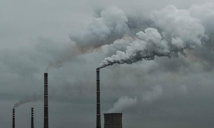 Fridays for Future, venerdì marcia per il clima anche a Macerata