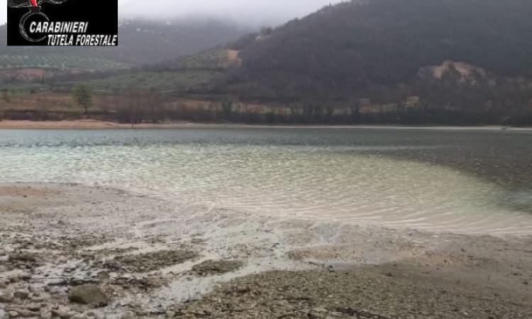 I Carabinieri Forestali scoprono uno scarico industriale abusivo sul Lago di Caccamo I Carabinieri Forestali scoprono uno scarico industriale abusivo sul Lago di Caccamo