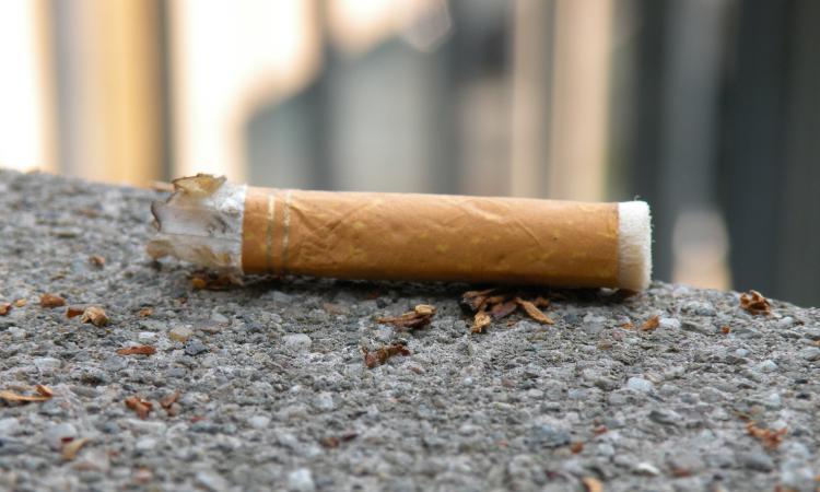 Macerata, il Consiglio comunale contro l'abbandono dei mozziconi di sigarette: multe fino a 300 euro