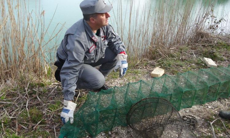 Montecosaro, pesca di frodo: sequestrate tre nasse