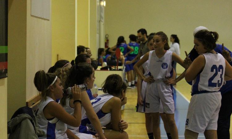 Basket Feba Civitanova, buoni risultati per il settore giovanile
