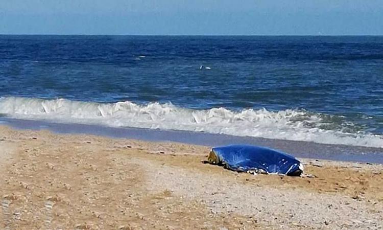 Segnalazione shock di un passante: donna trovata senza vita lungo il litorale